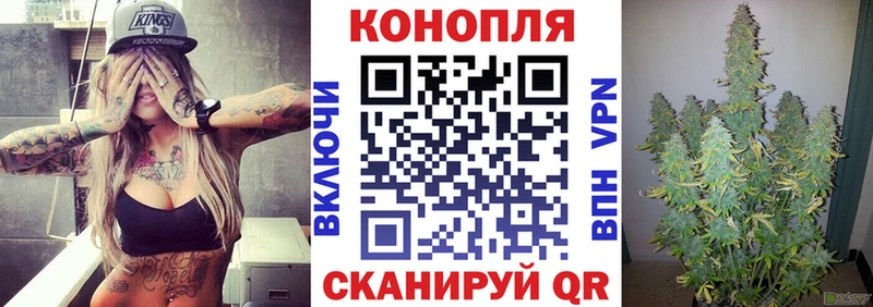 Шишки марихуана тримм  где продают наркотики  гидра зеркало  Белая Холуница 